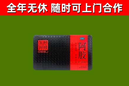 正镶白旗回收阿胶